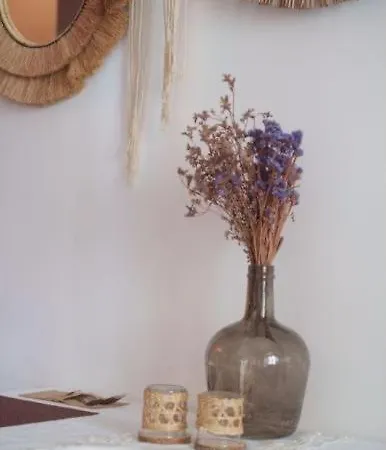 Sonhos Mamede Appartement *